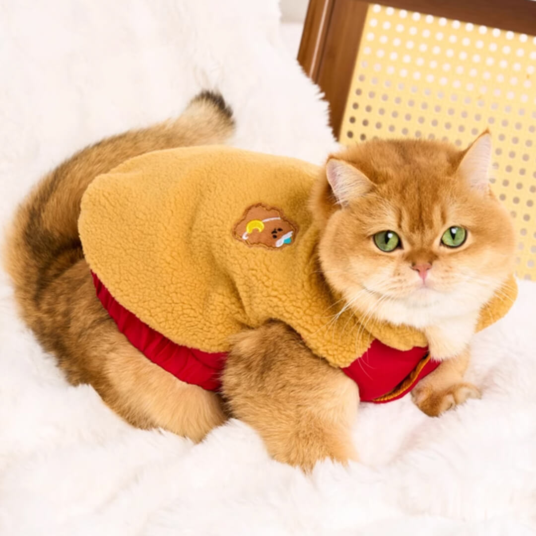 Teddy Cat Jacket