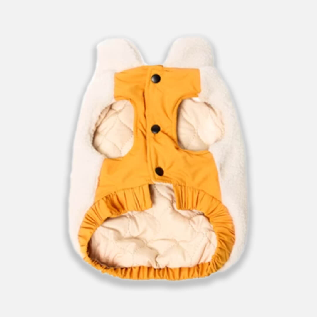 Teddy Cat Jacket