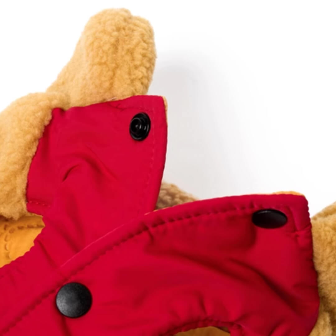 Teddy Cat Jacket