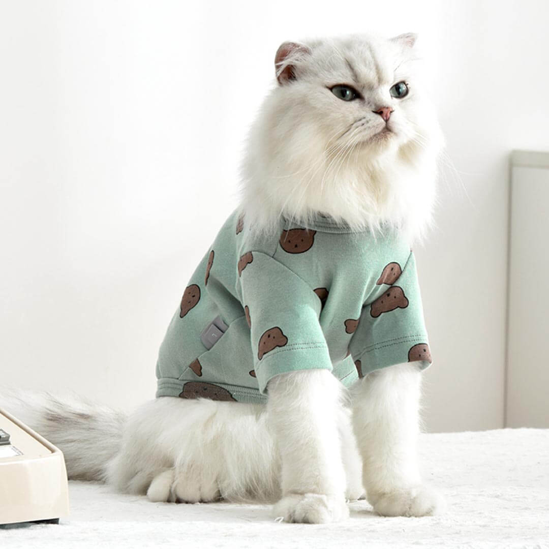 Teddy Cat T-Shirt