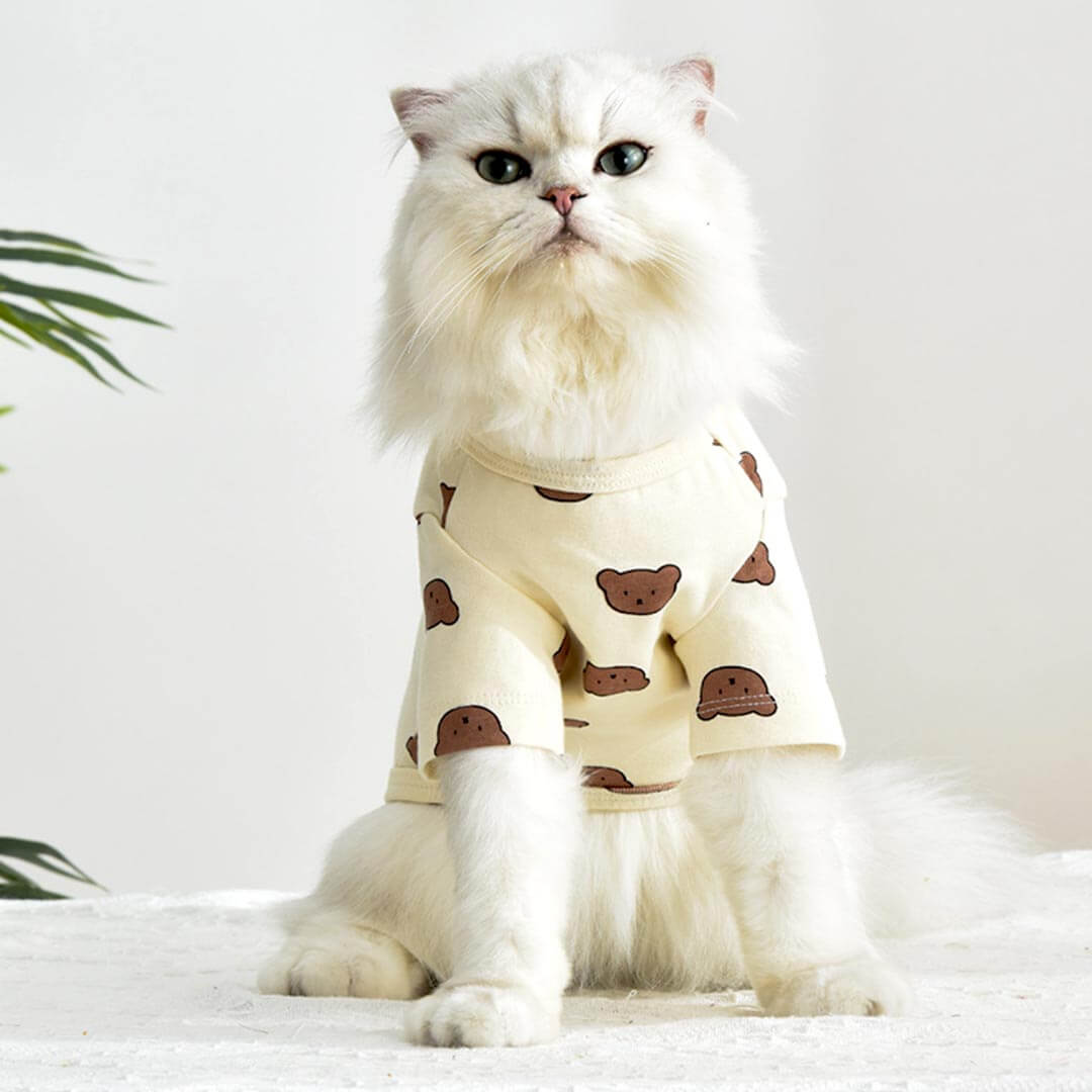Teddy Cat T-Shirt