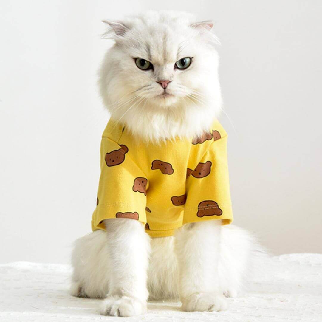 Teddy Cat T-Shirt