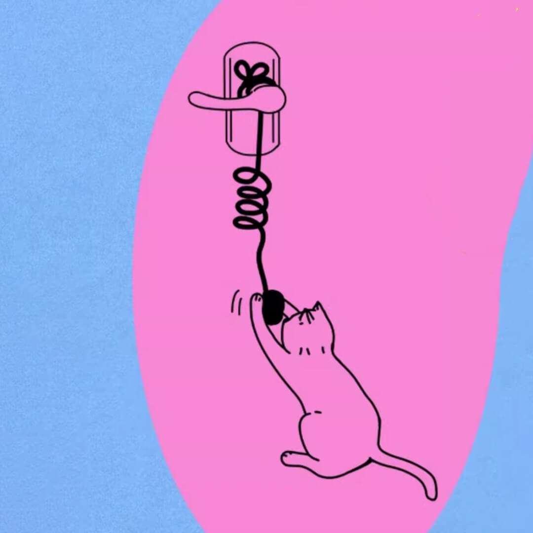 Tennis Pawtner Cat Bungee Teaser Wand