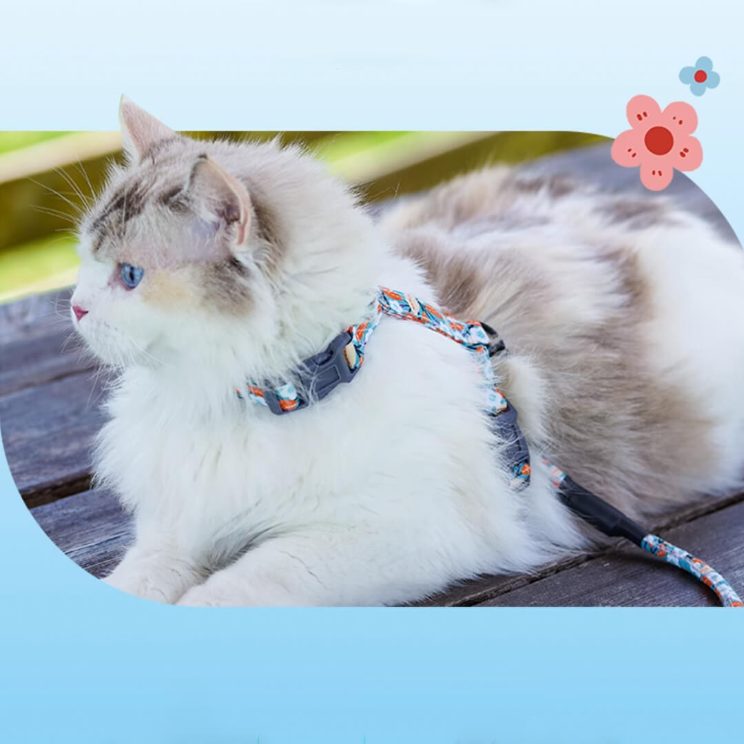 TouchCat Cat Harness & Leash Set