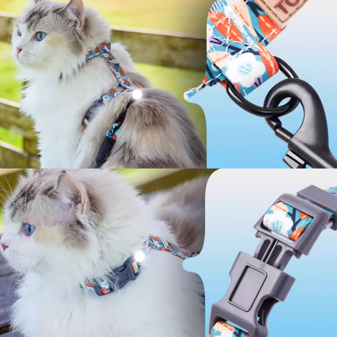TouchCat Cat Harness & Leash Set