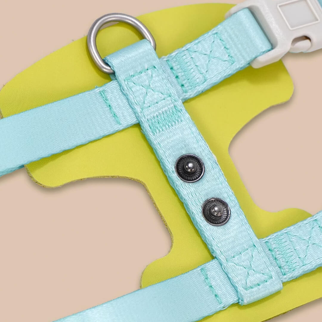 TouchCat Explorer Cat Harness & Leash Set