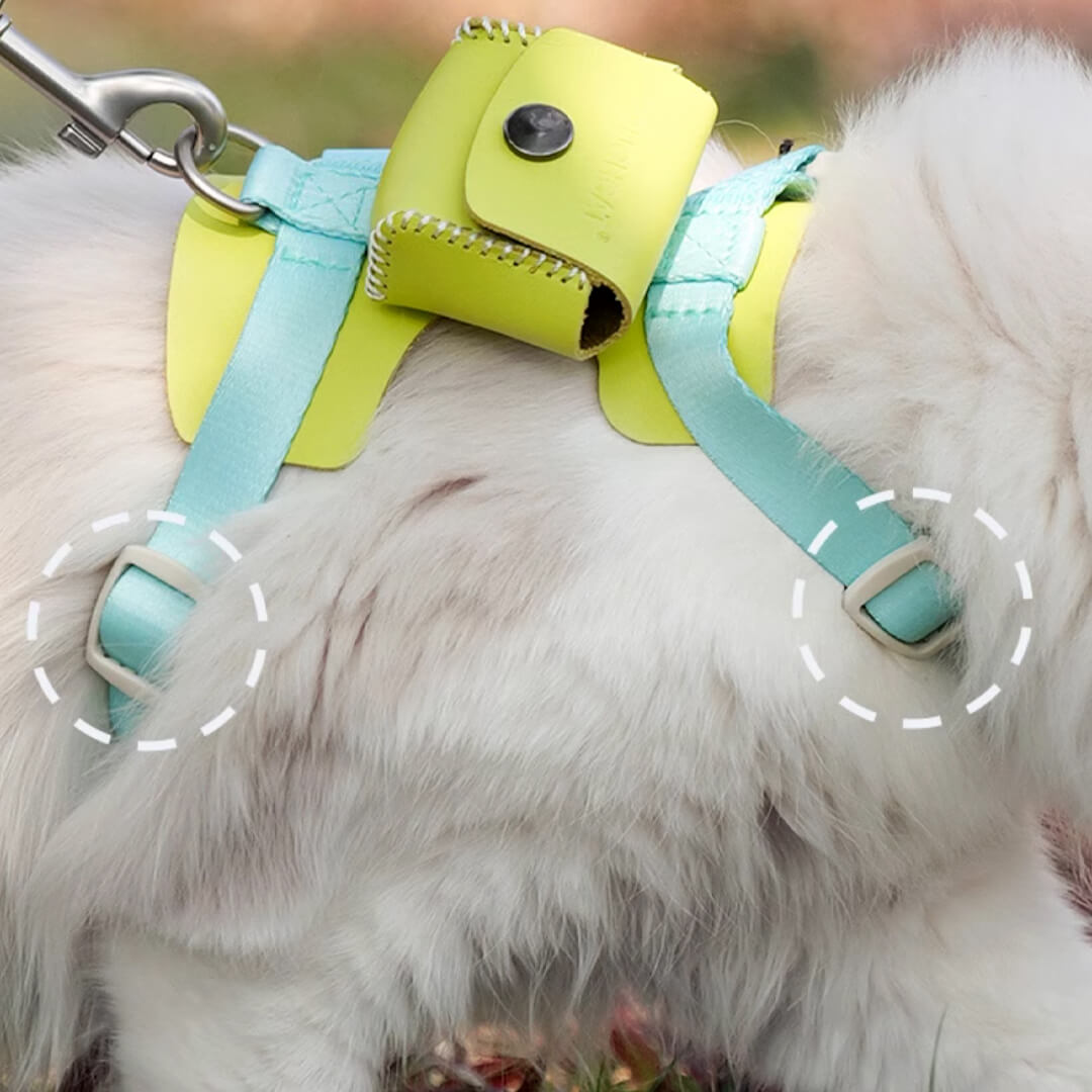 TouchCat Explorer Cat Harness & Leash Set