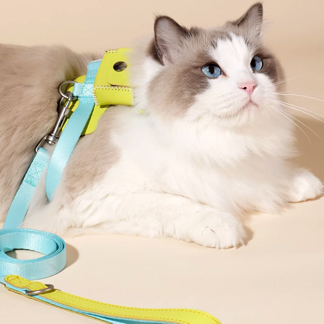 TouchCat Explorer Cat Harness & Leash Set