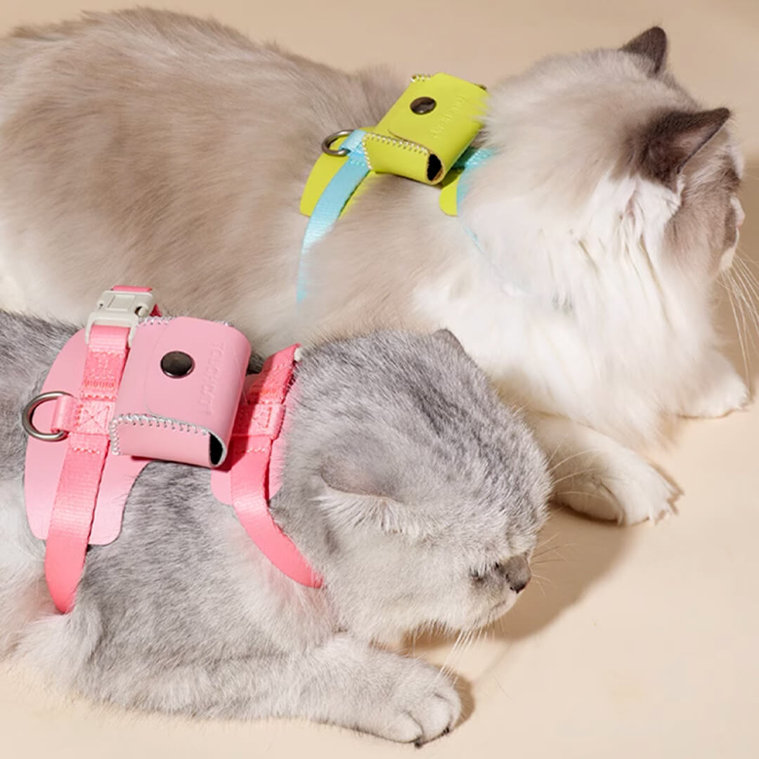 TouchCat Explorer Cat Harness & Leash Set