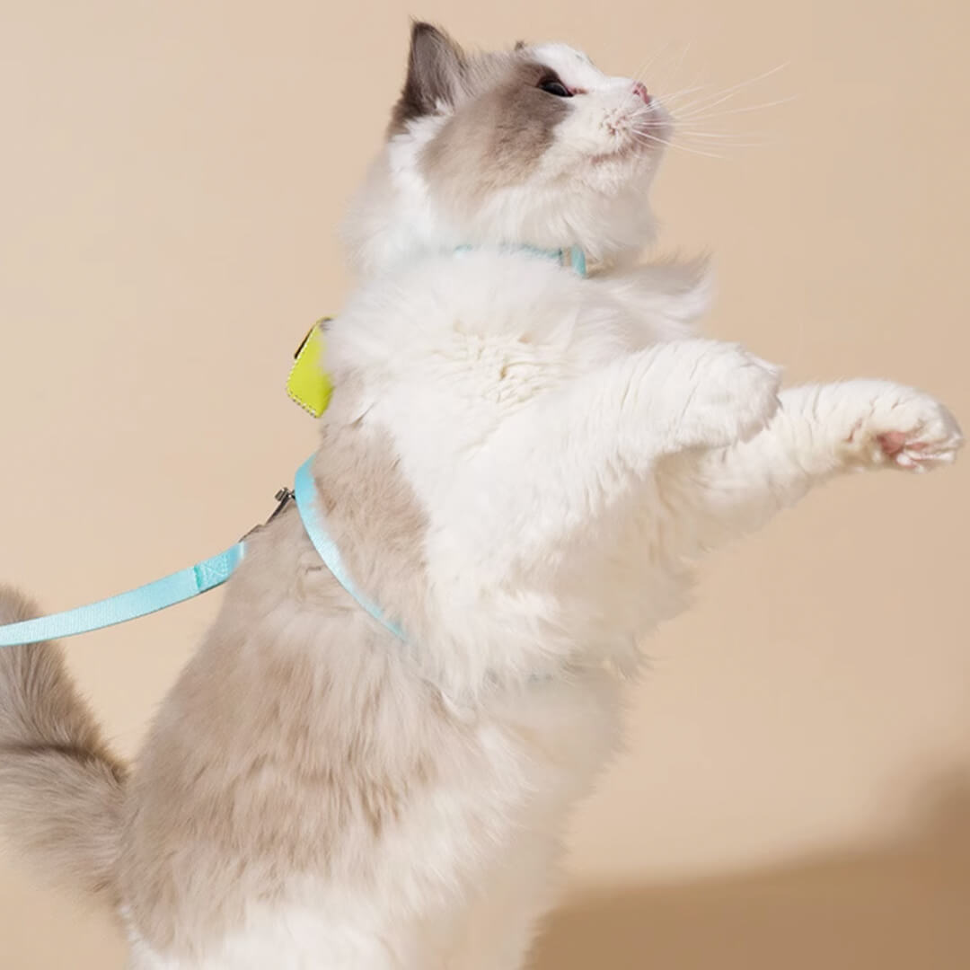 TouchCat Explorer Cat Harness & Leash Set