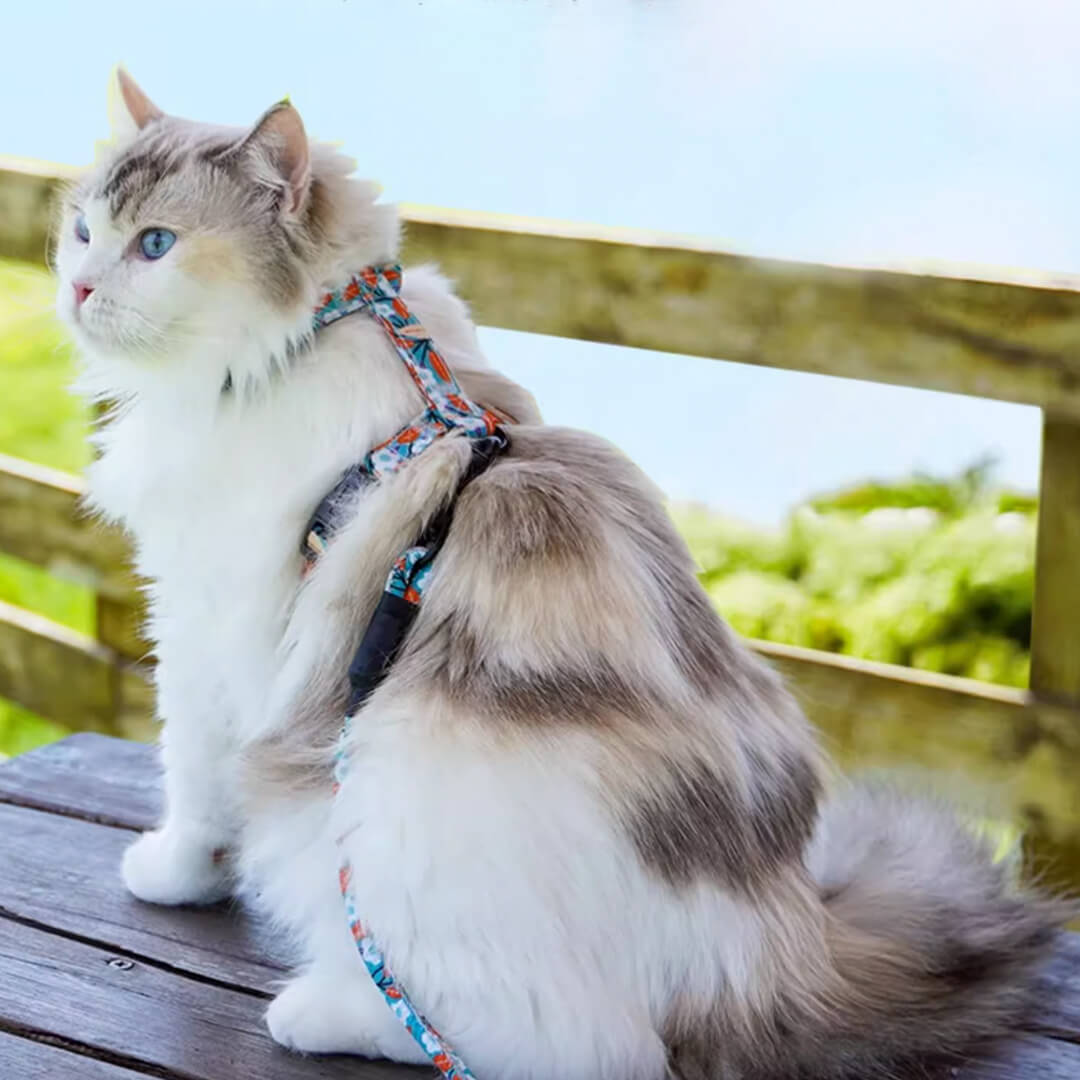 TouchCat Cat Harness & Leash Set
