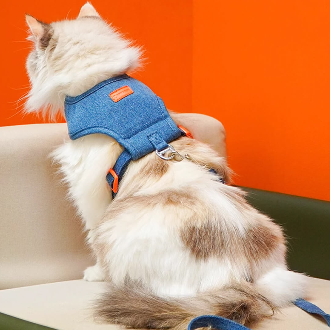 TouchCat Indigo Cat Harness & Leash Set