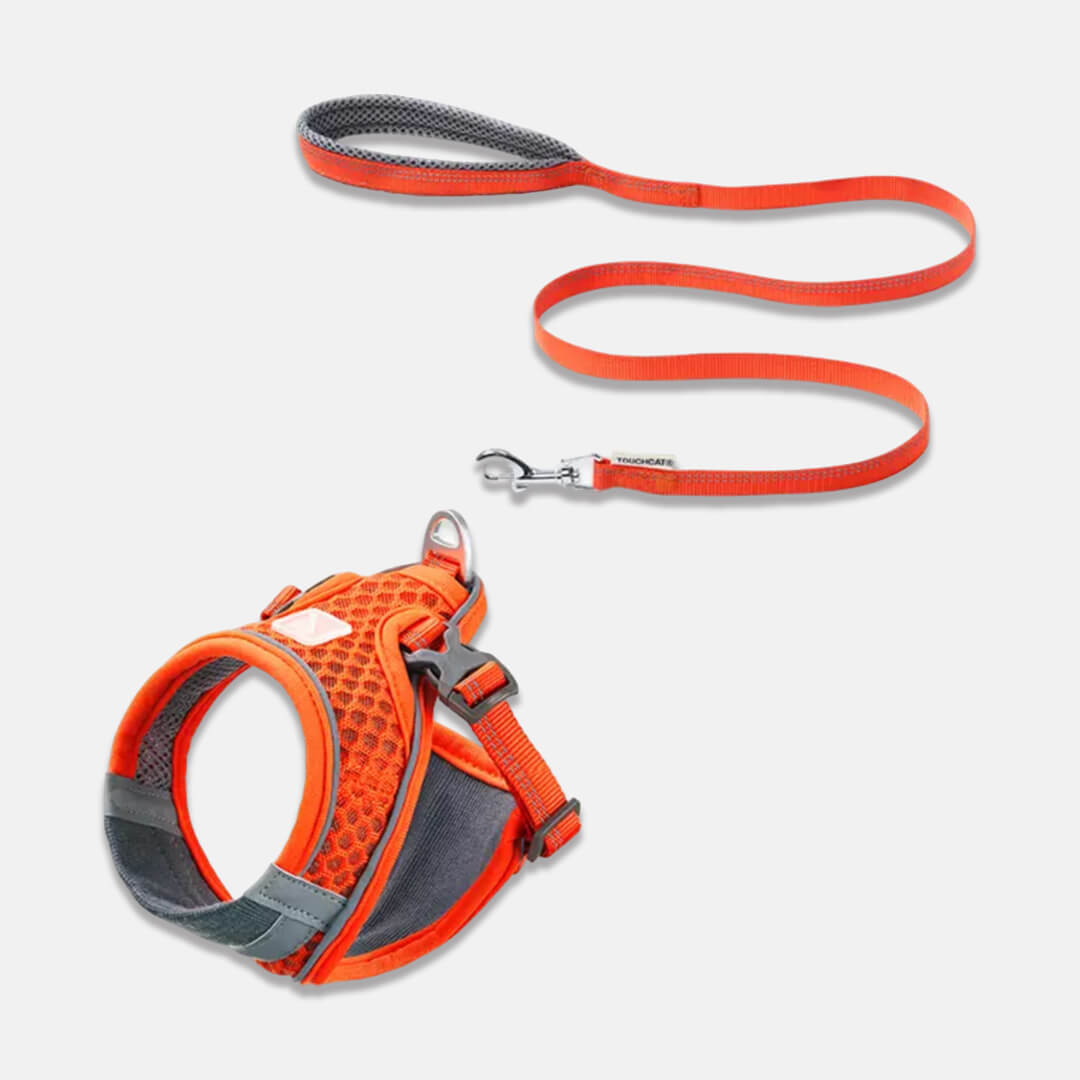 TouchCat Voyager Cat Harness & Leash Set