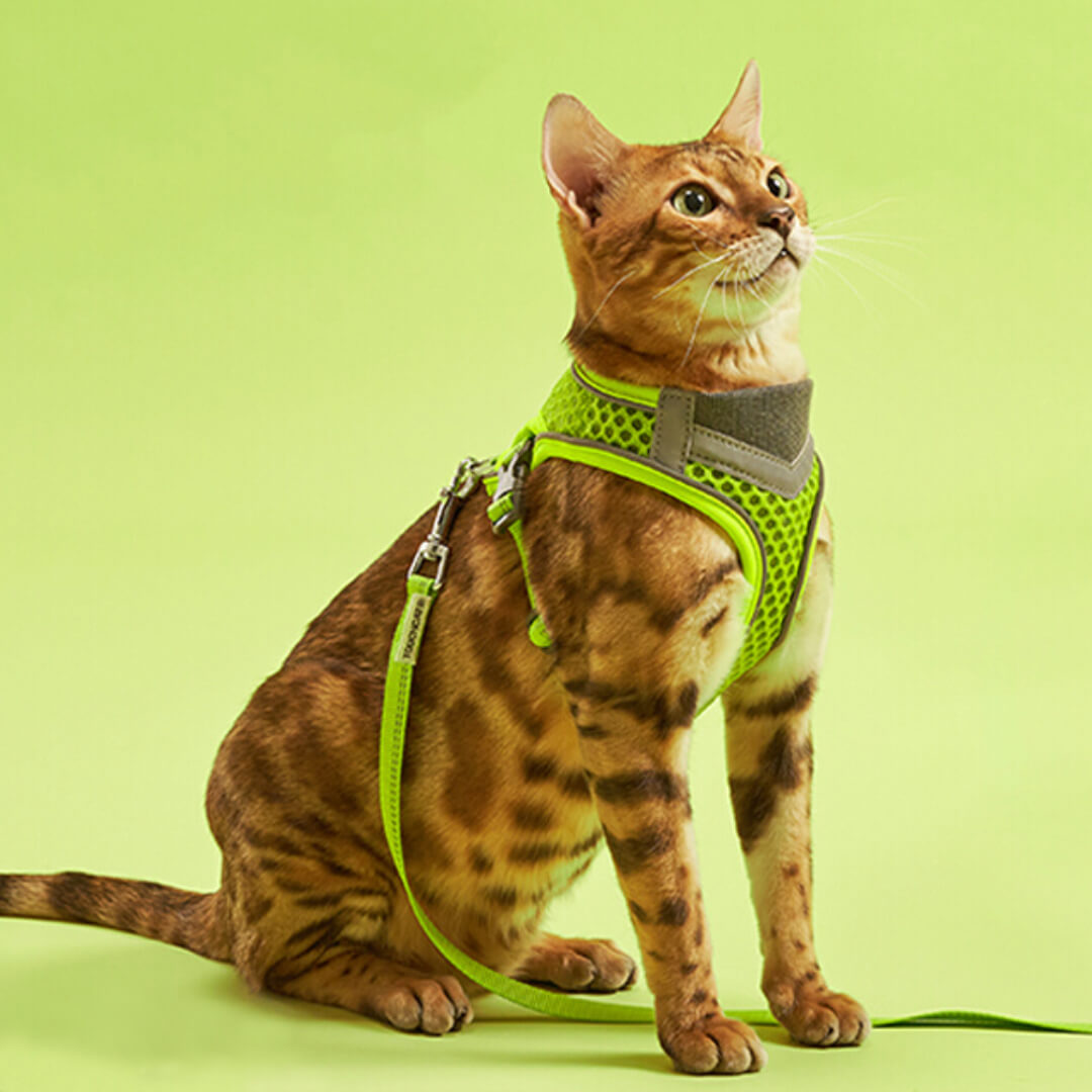 TouchCat Voyager Cat Harness & Leash Set