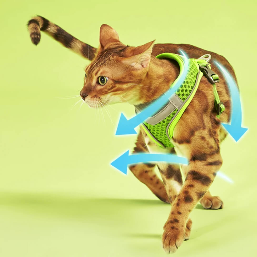 TouchCat Voyager Cat Harness & Leash Set