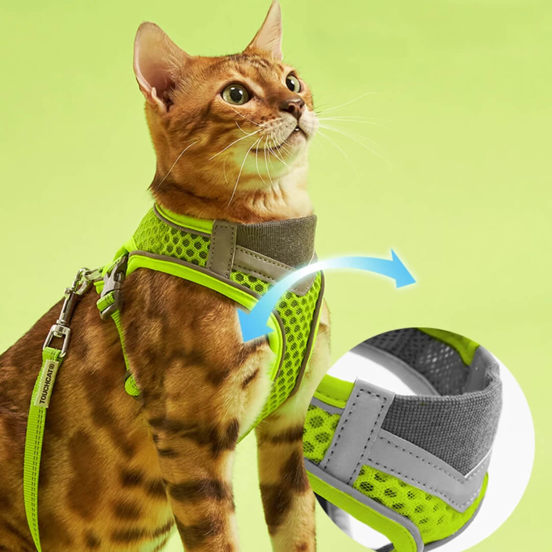 TouchCat Voyager Cat Harness & Leash Set