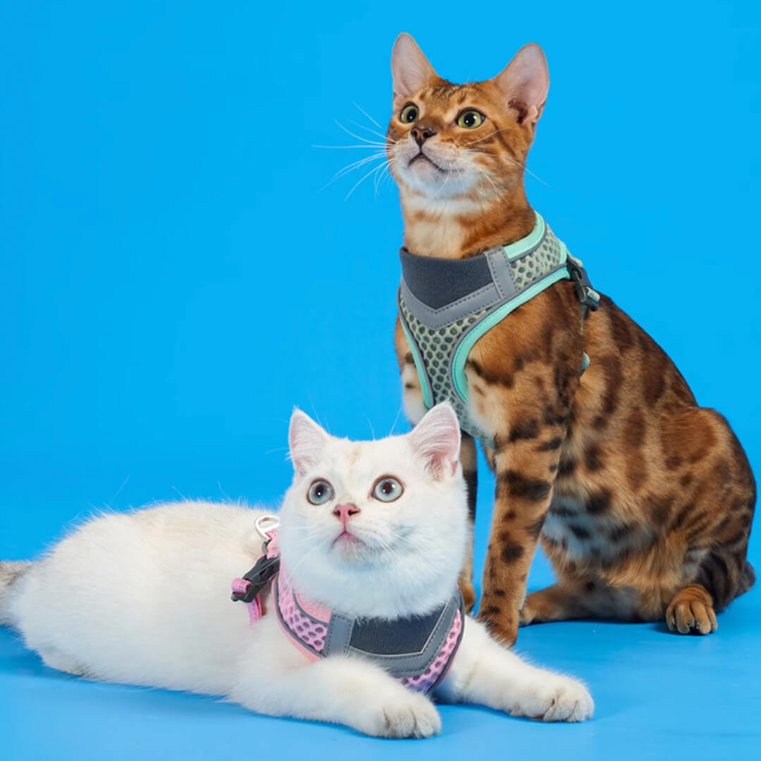 TouchCat Voyager Cat Harness & Leash Set
