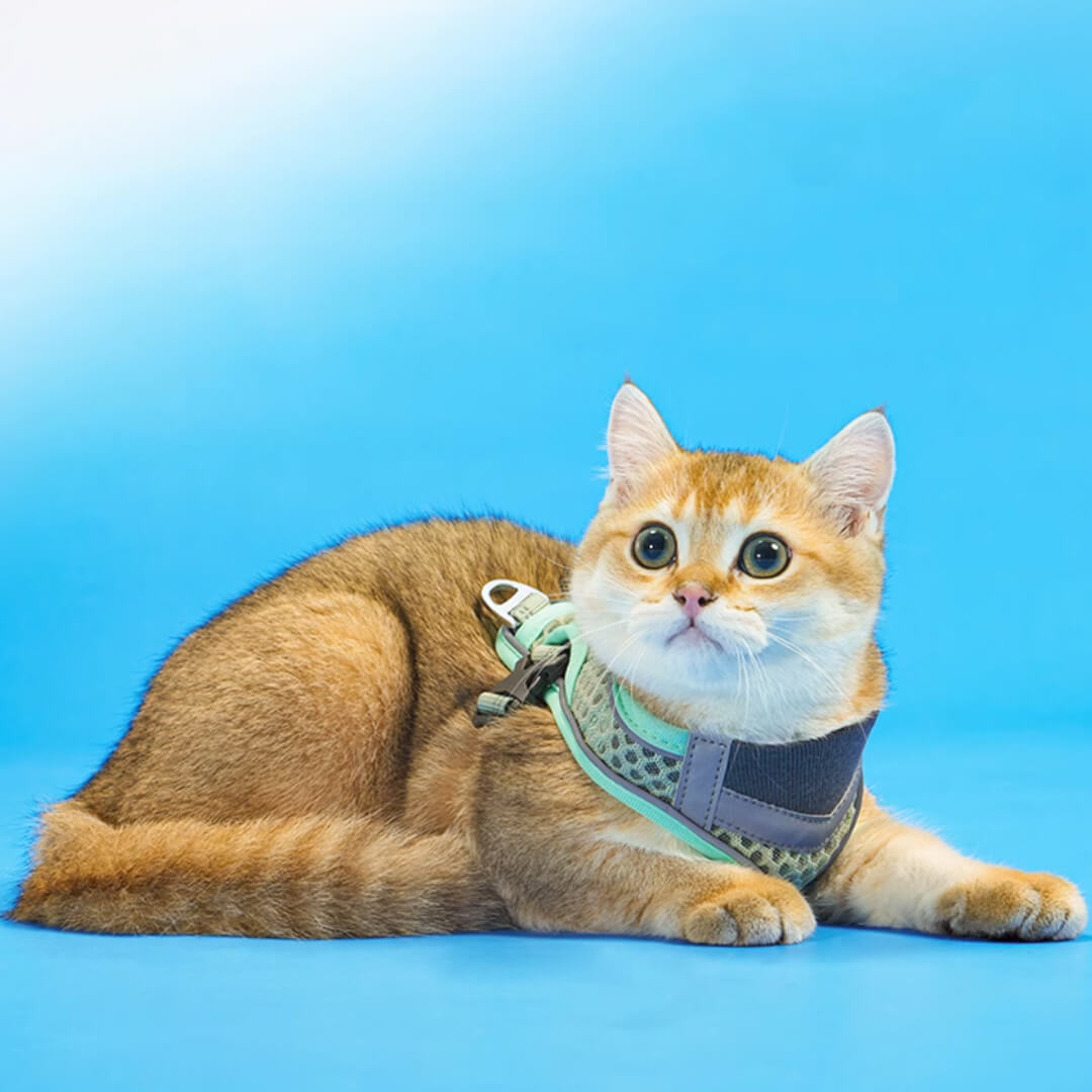 TouchCat Voyager Cat Harness & Leash Set