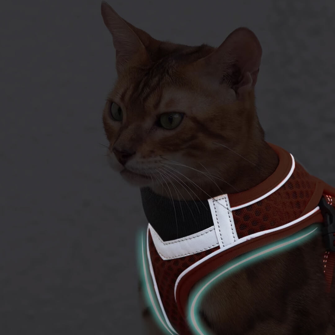 TouchCat Voyager Cat Harness & Leash Set