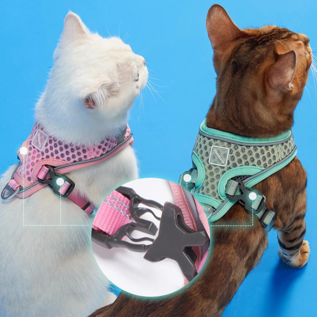 TouchCat Voyager Cat Harness & Leash Set
