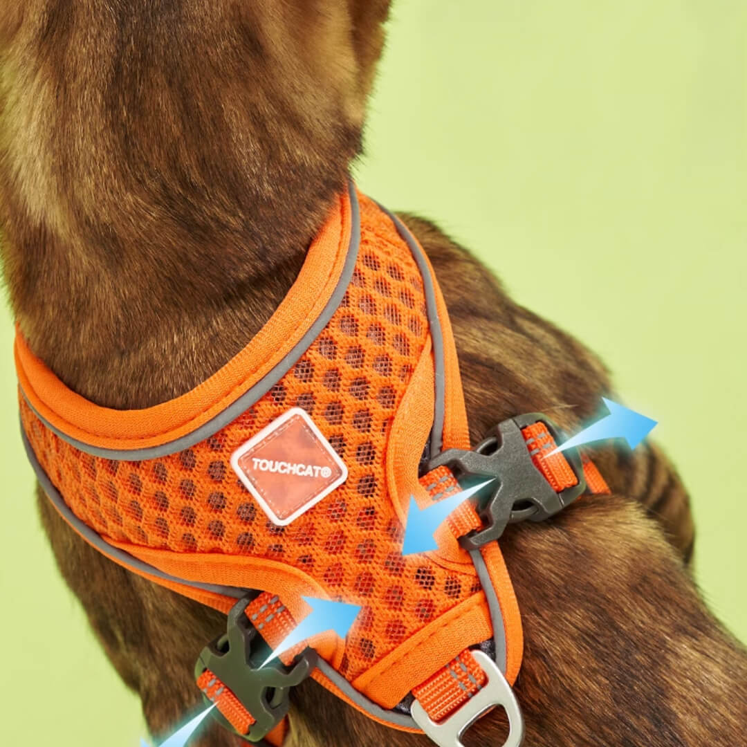 TouchCat Voyager Cat Harness & Leash Set