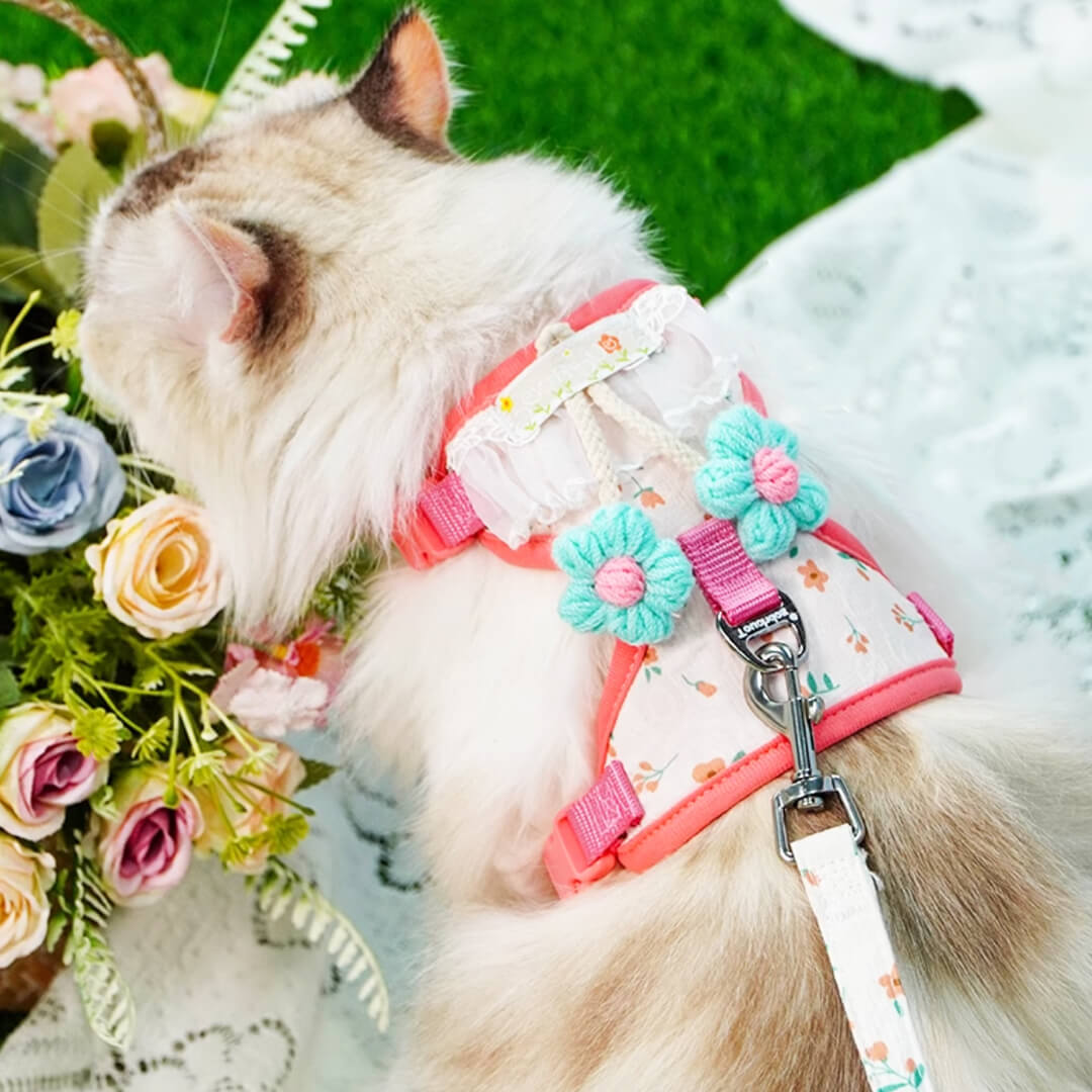TouchDog Blossom Cat Harness & Leash Set