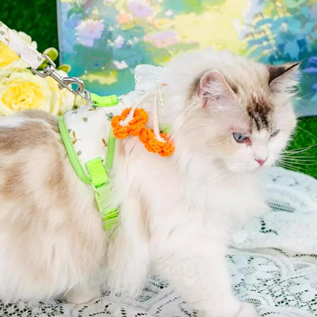 TouchDog Blossom Cat Harness & Leash Set