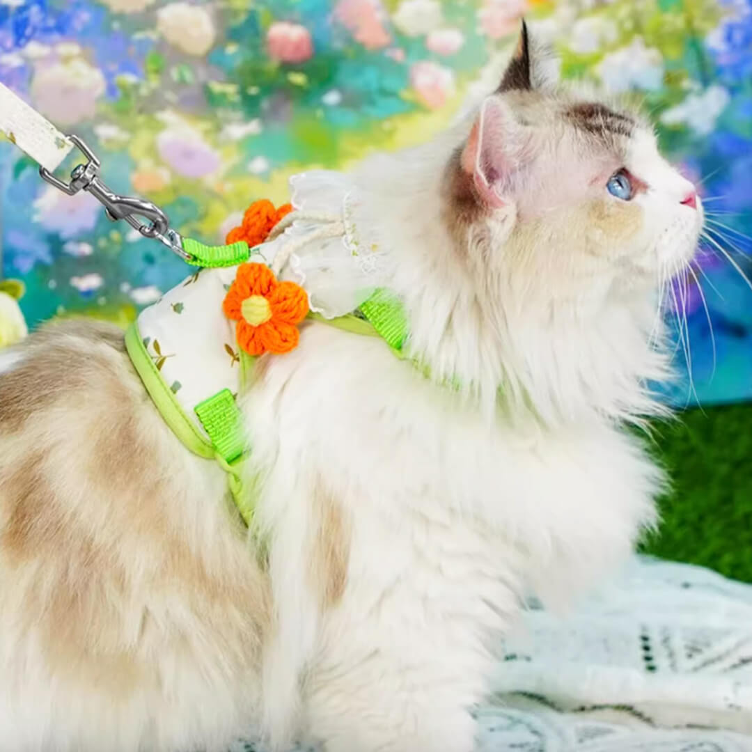 TouchDog Blossom Cat Harness & Leash Set