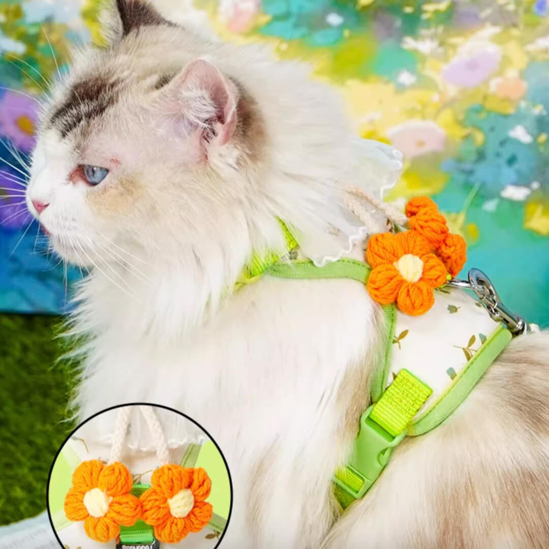 TouchDog Blossom Cat Harness & Leash Set