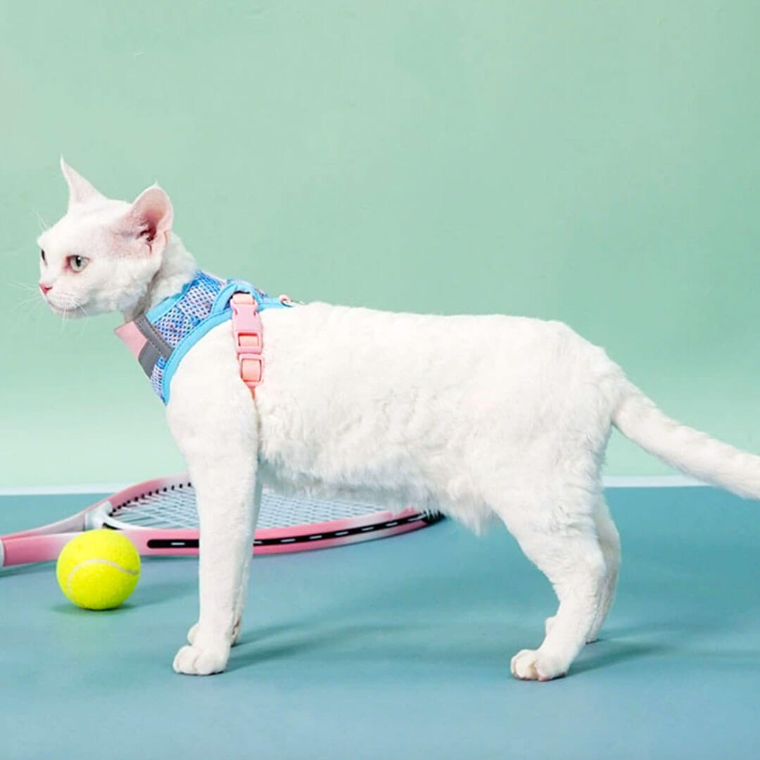 TouchDog Breeze Cat Harness & Leash Set