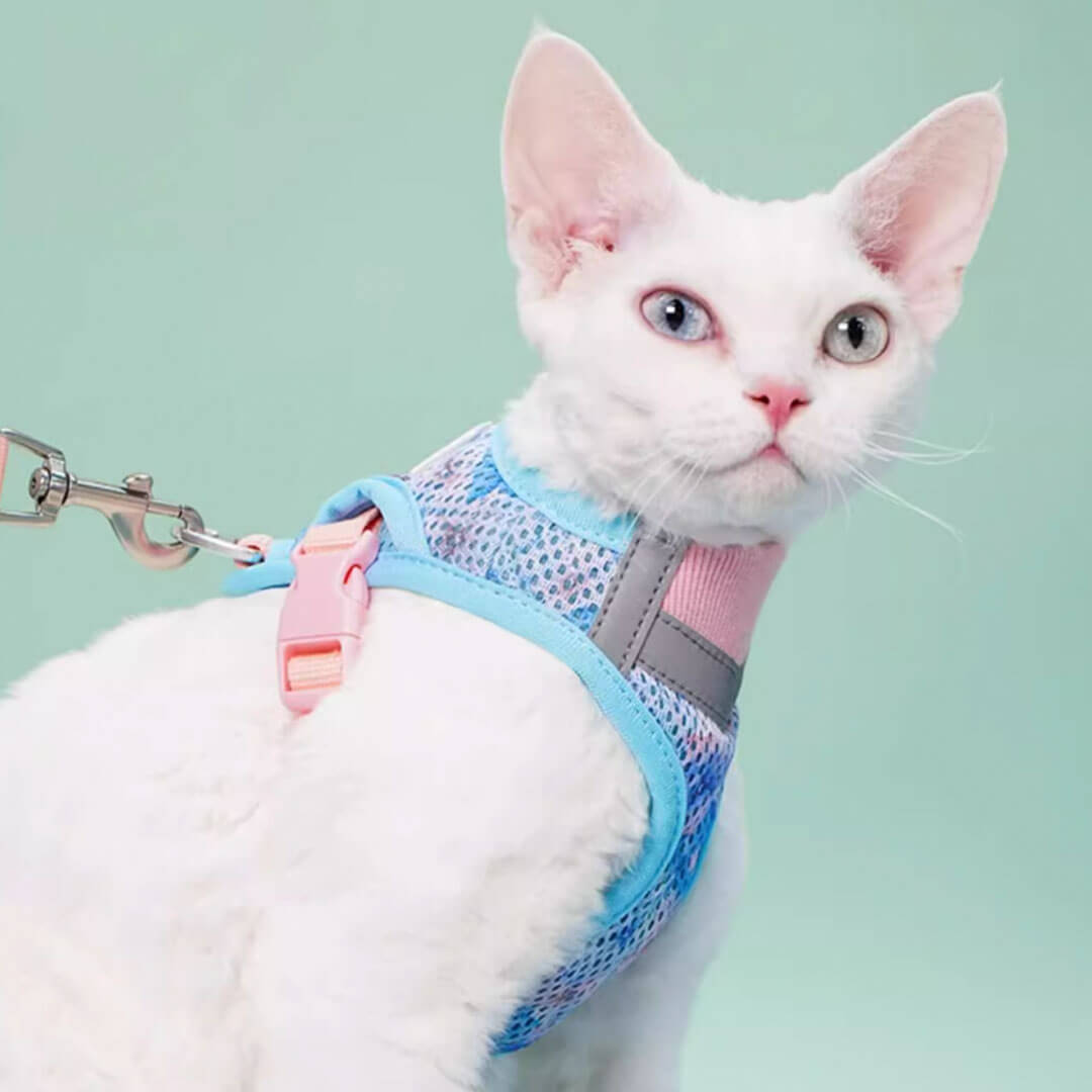 TouchDog Breeze Cat Harness & Leash Set