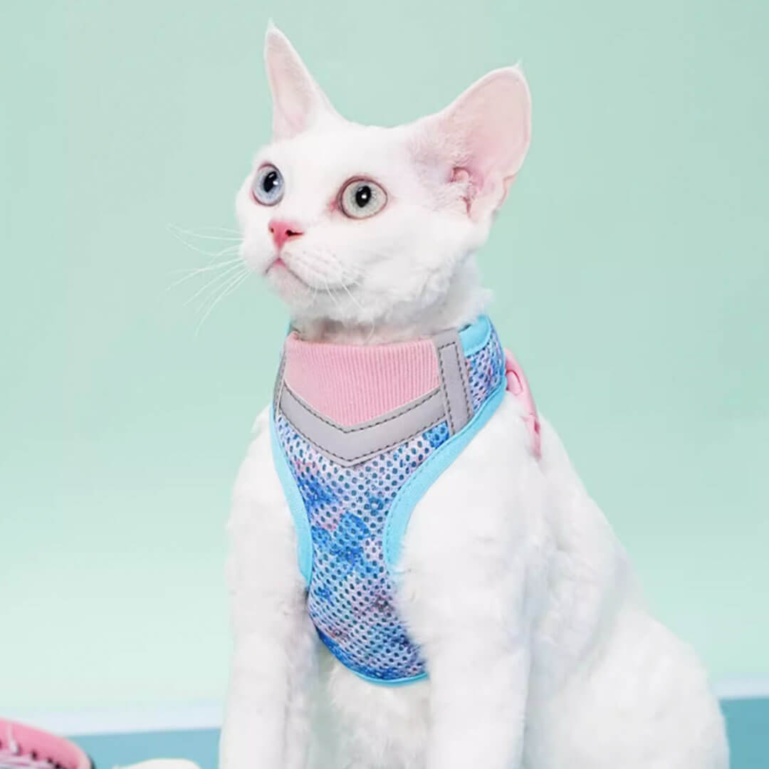 TouchDog Breeze Cat Harness & Leash Set