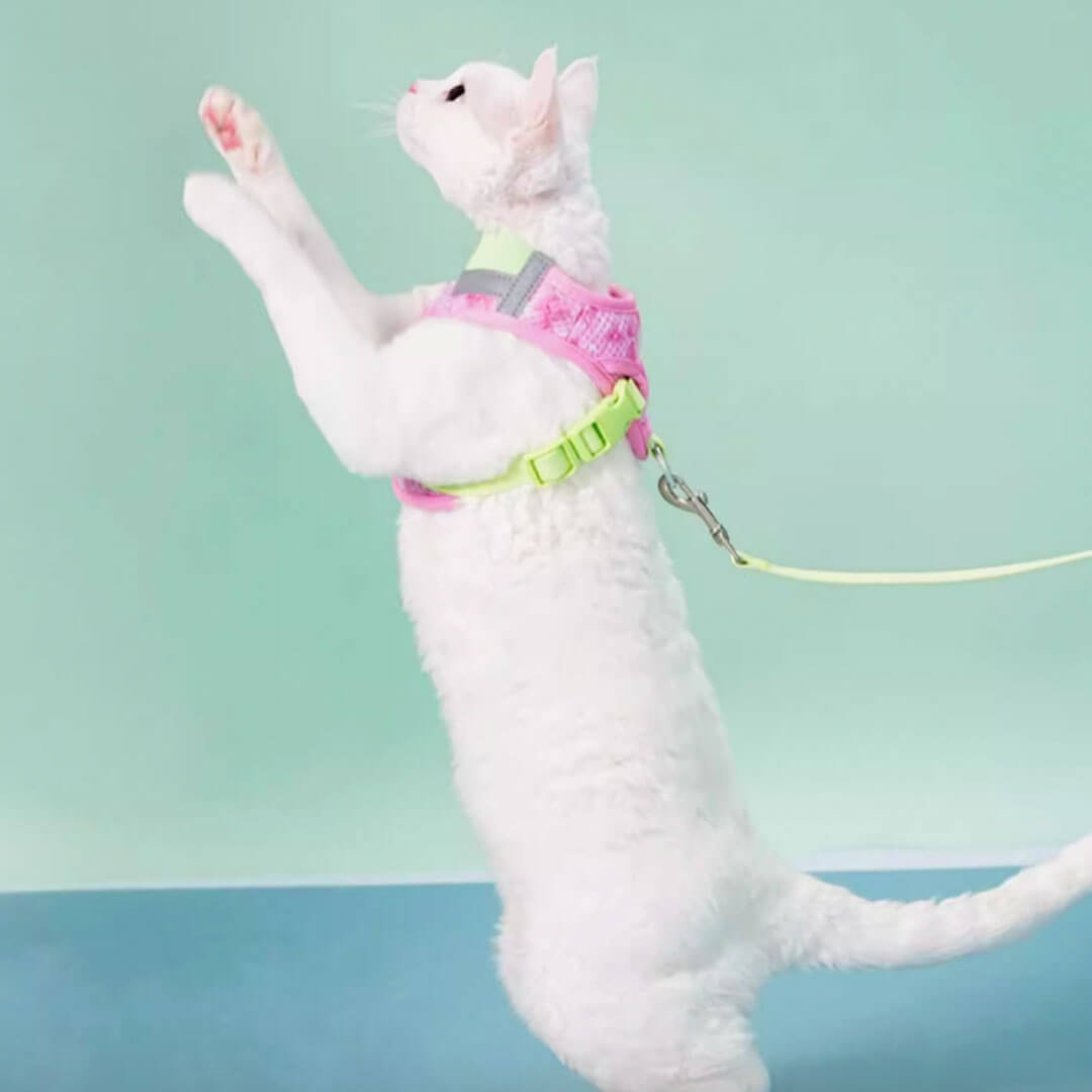 TouchDog Breeze Cat Harness & Leash Set
