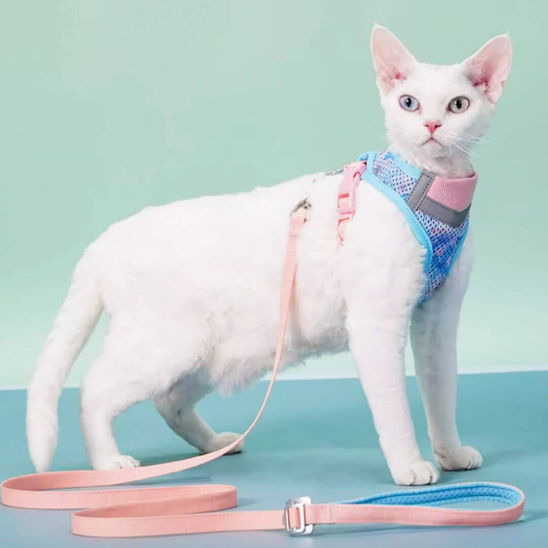 TouchDog Breeze Cat Harness & Leash Set