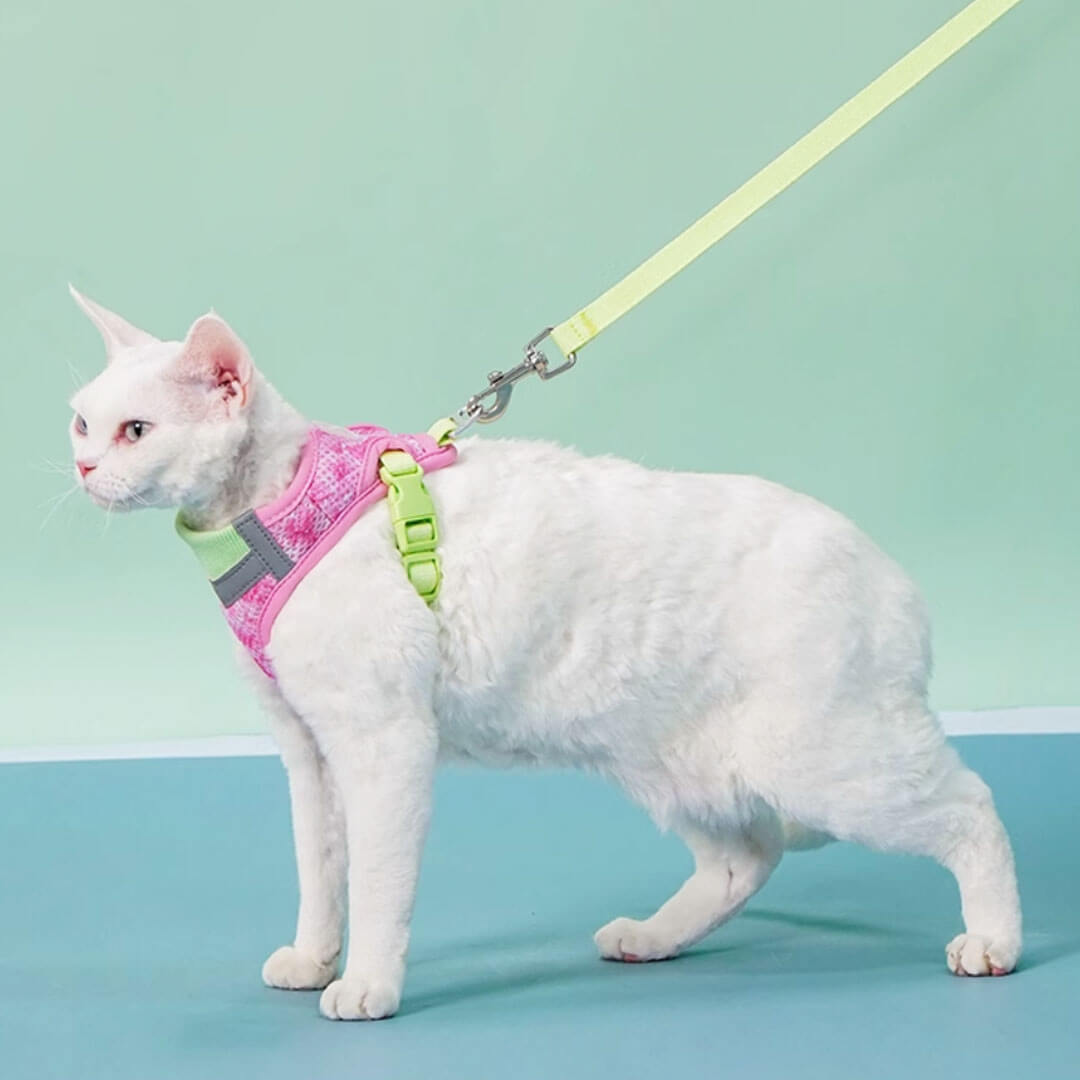TouchDog Breeze Cat Harness & Leash Set