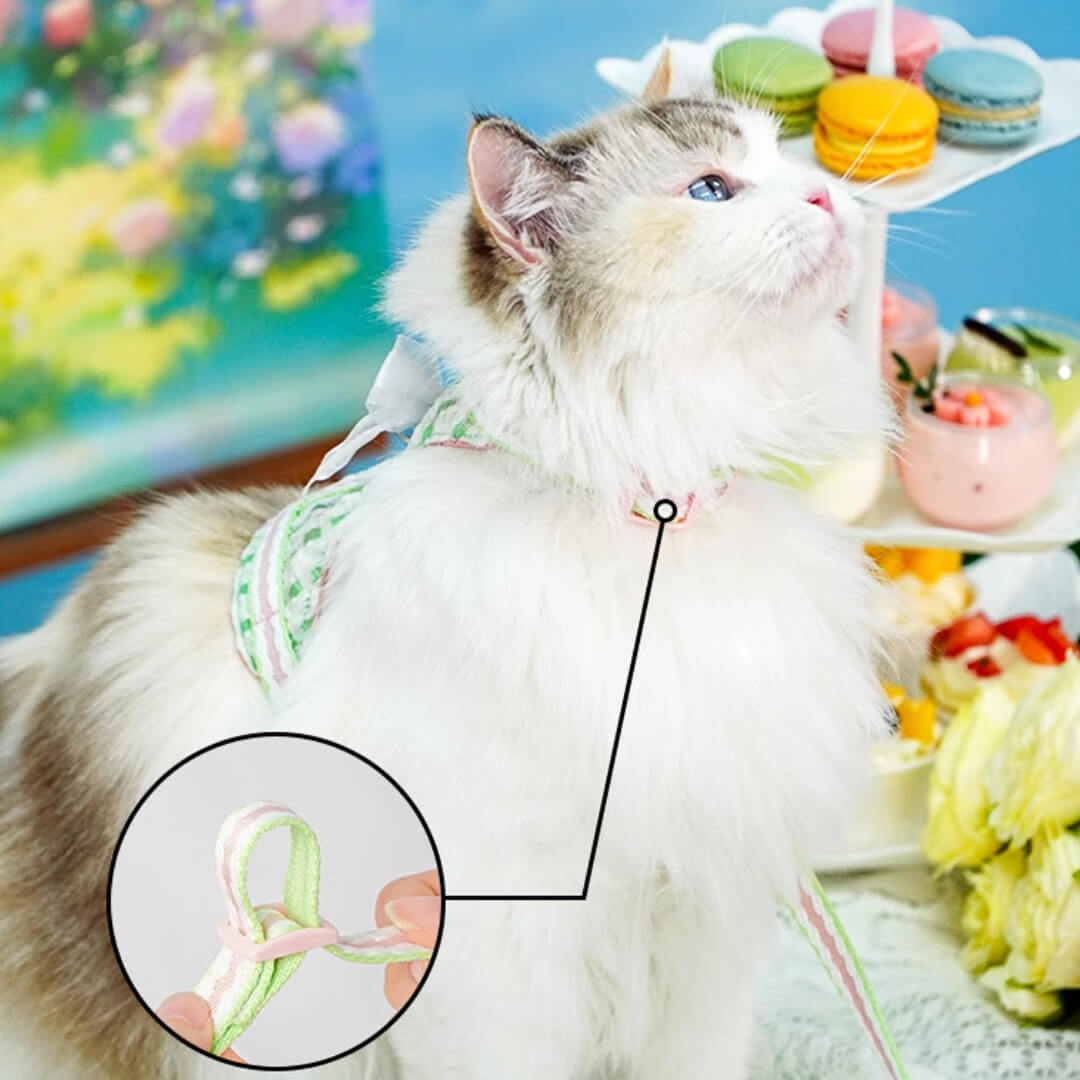 TouchDog Checkers Cat Harness & Leash Set