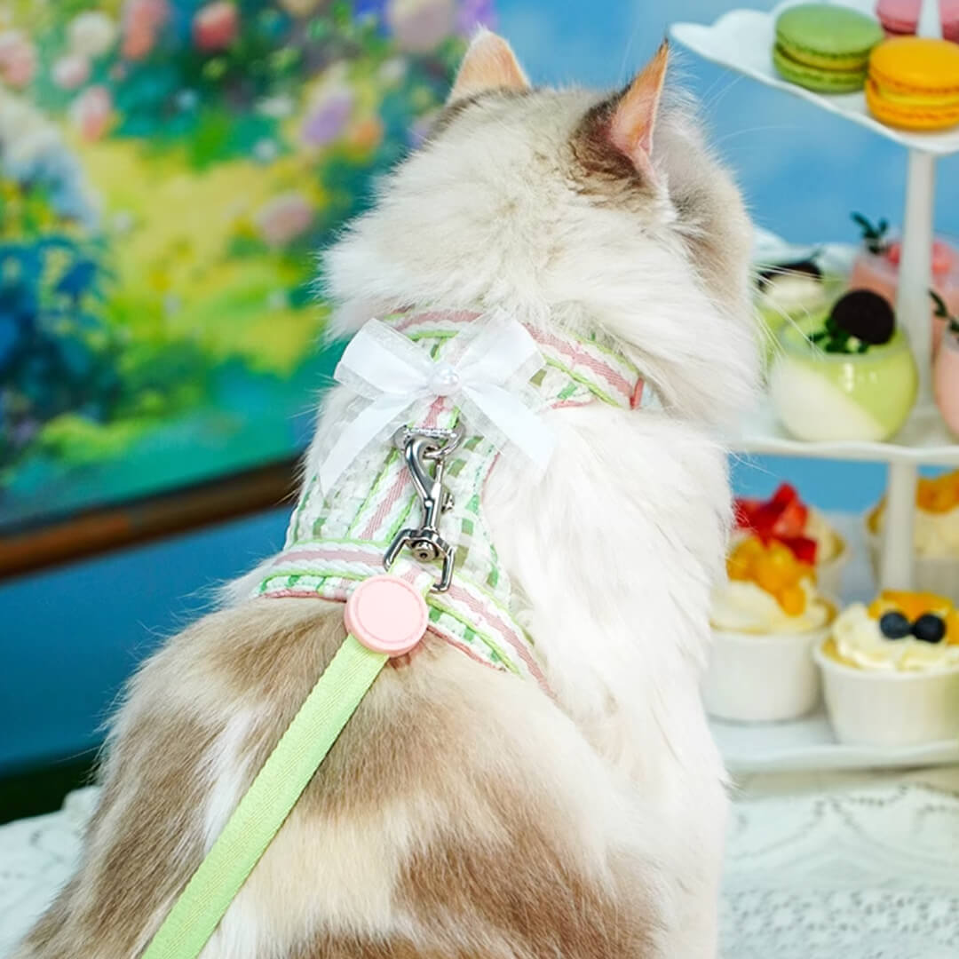 TouchDog Checkers Cat Harness & Leash Set