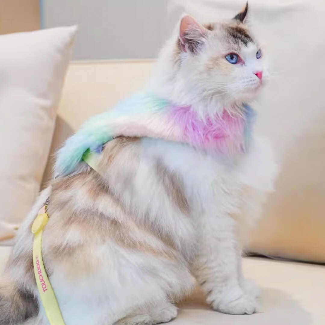 TouchDog Glow Cat Harness & Leash Set