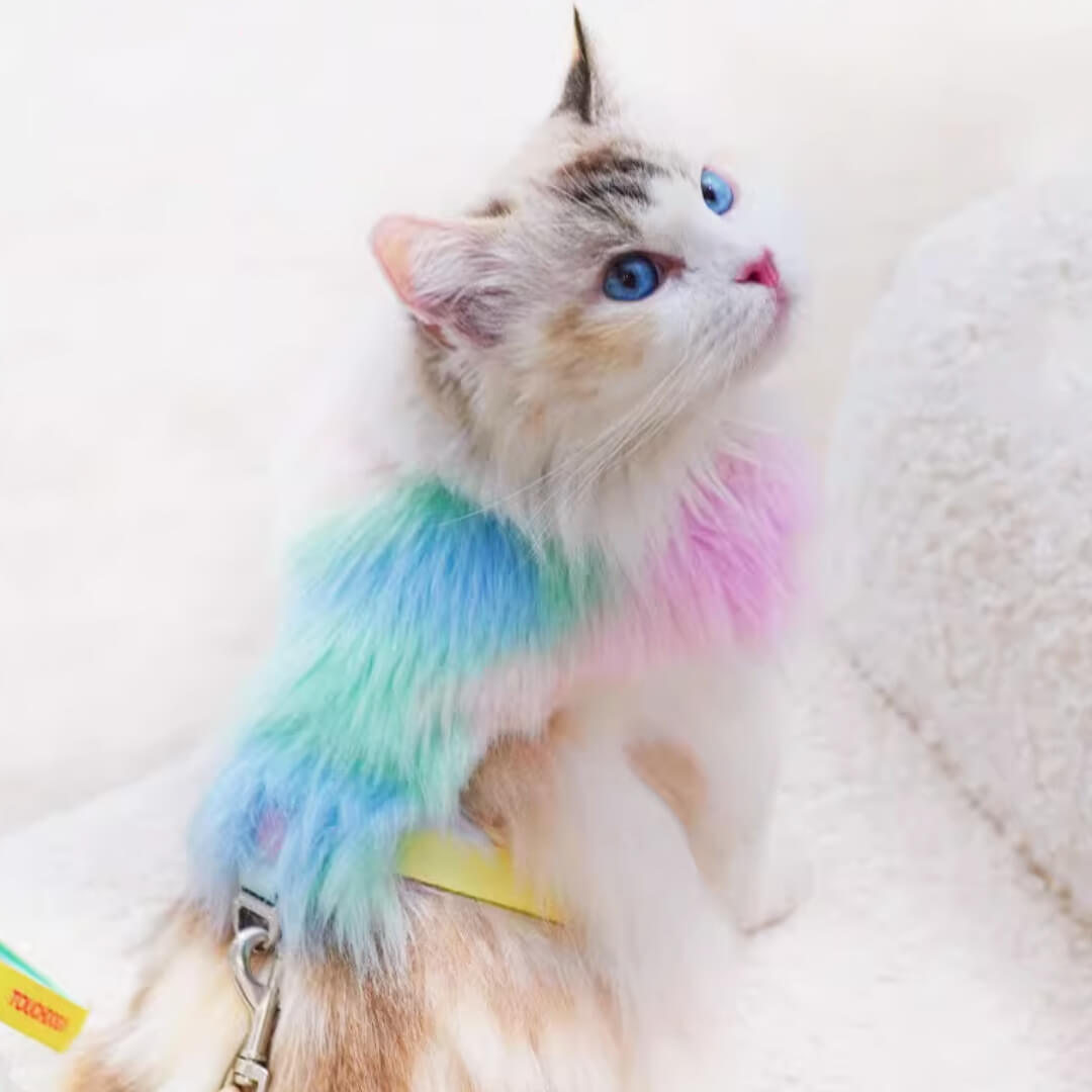 TouchDog Glow Cat Harness & Leash Set