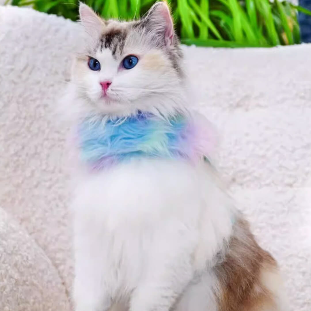 TouchDog Glow Cat Harness & Leash Set