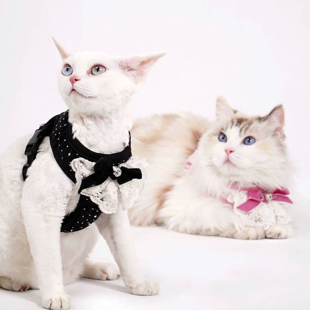 TouchDog Sparkle Cat Harness & Leash Set