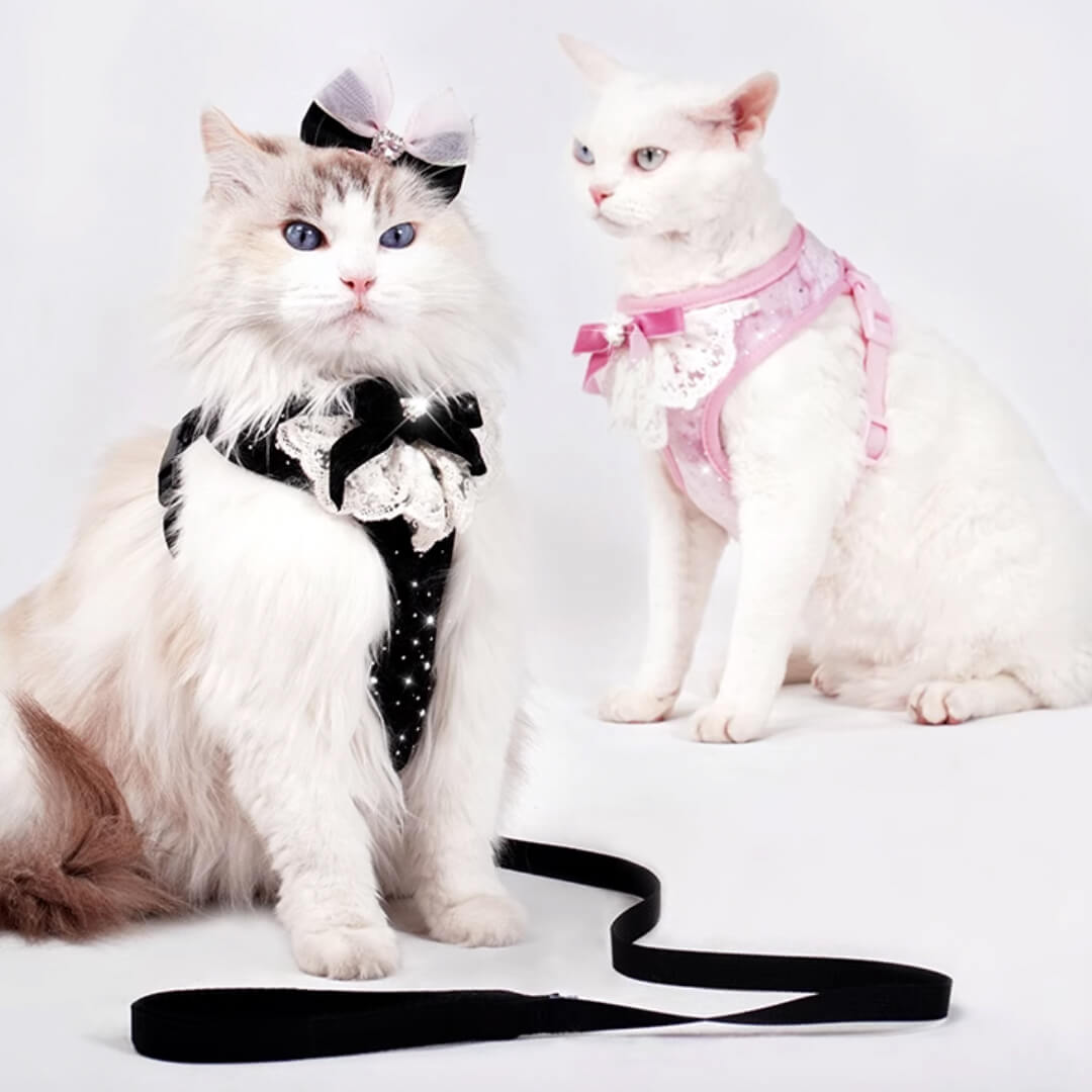 TouchDog Sparkle Cat Harness & Leash Set