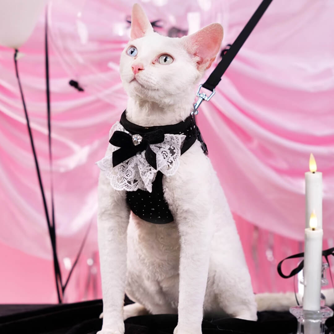 TouchDog Sparkle Cat Harness & Leash Set