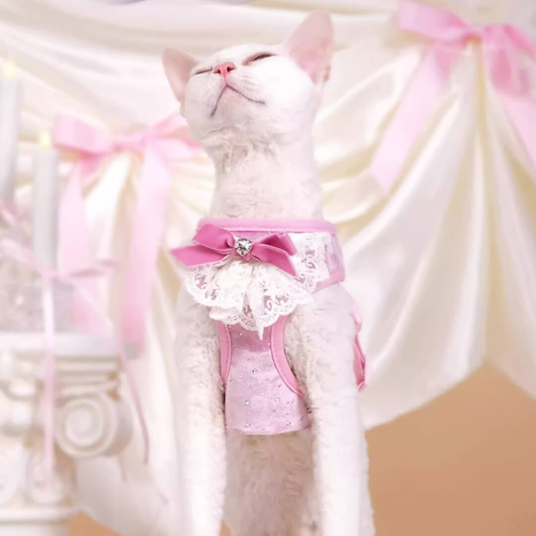 TouchDog Sparkle Cat Harness & Leash Set