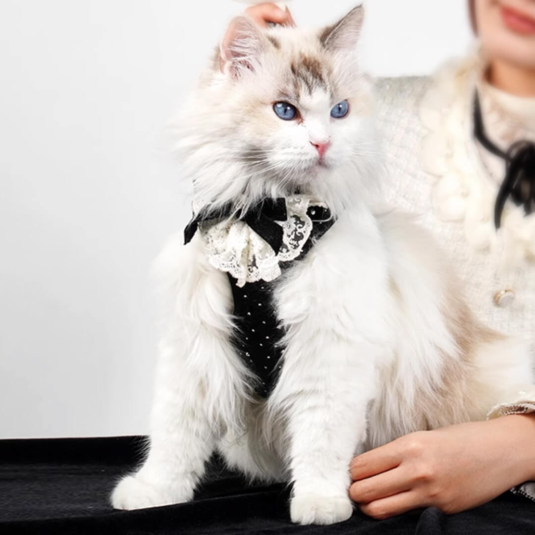 TouchDog Sparkle Cat Harness & Leash Set