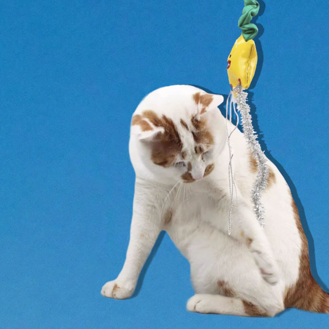 Twinkle Cat Wand Toy