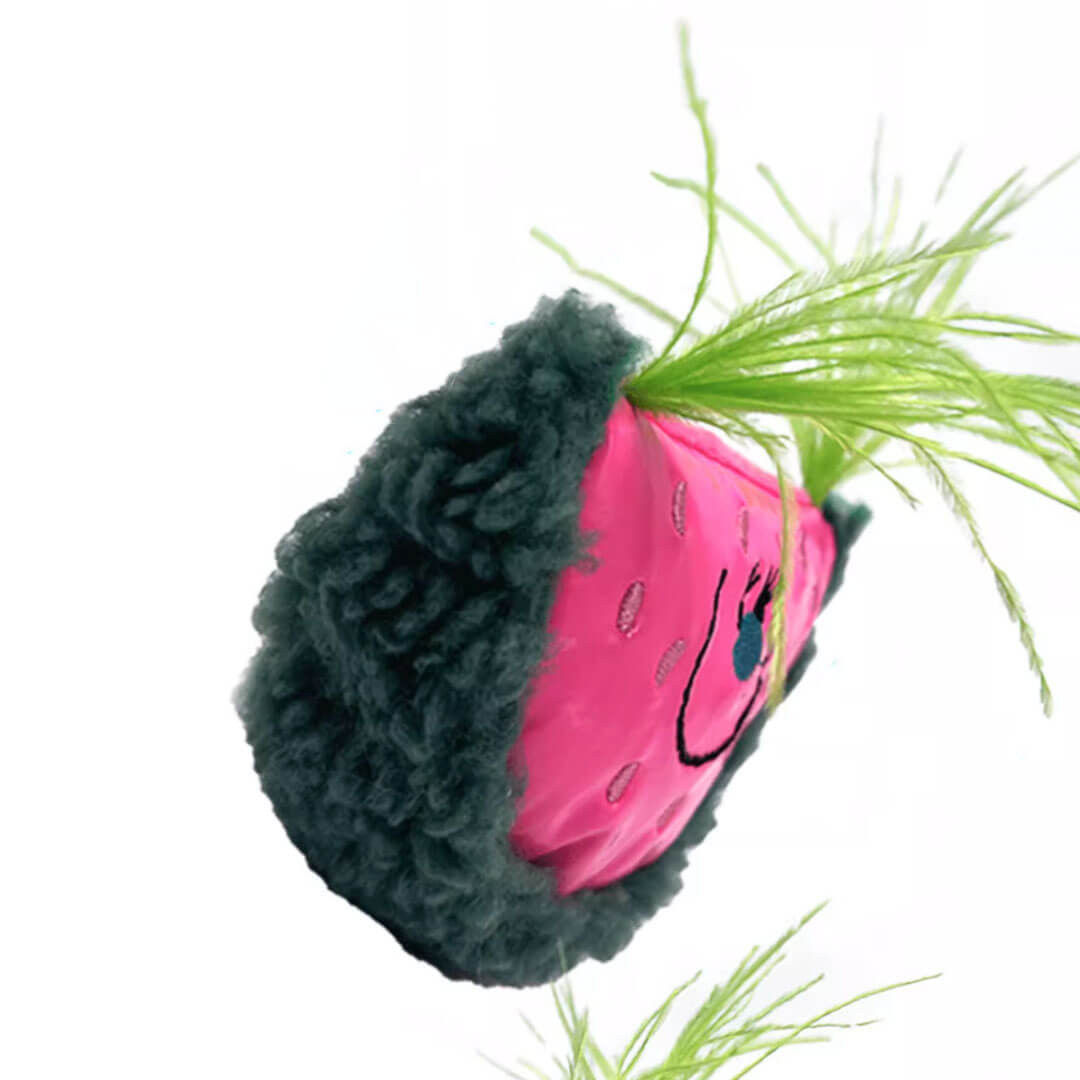 Watermelon Catnip Toy