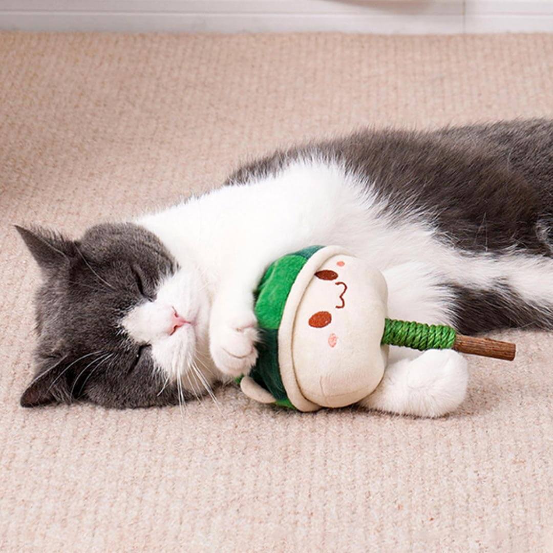Watermelon Kitty Silvervine Cat Chew Toy