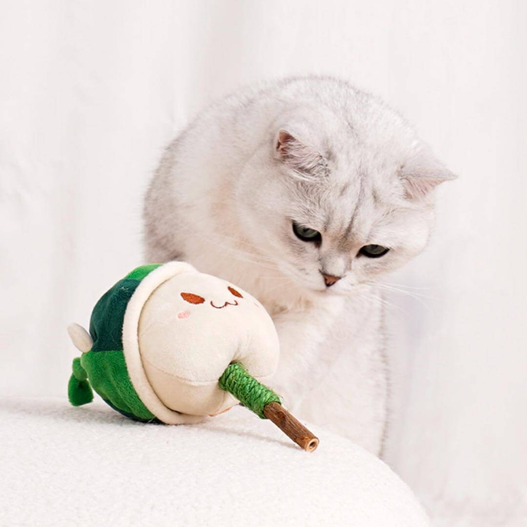 Watermelon Kitty Silvervine Cat Chew Toy