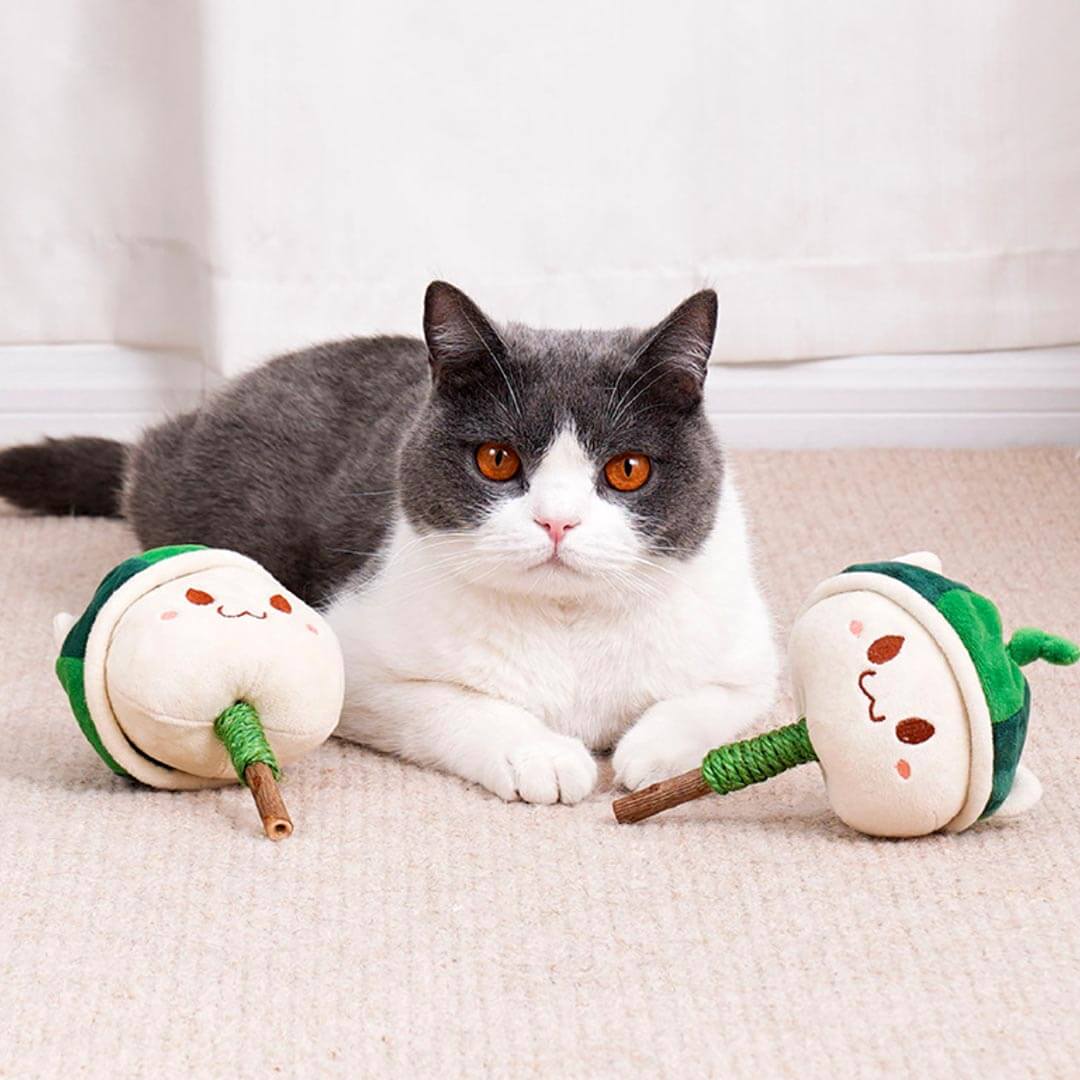 Watermelon Kitty Silvervine Cat Chew Toy